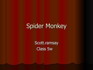 Spider Monkey Scott.ramsay Class 5w  