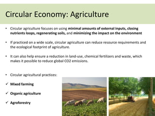 Circular Economy: Agriculture
• Circular agriculture focuses on using minimal amounts of external inputs, closing
nutrients loops, regenerating soils, and minimizing the impact on the environment
• If practiced on a wide scale, circular agriculture can reduce resource requirements and
the ecological footprint of agriculture.
• It can also help ensure a reduction in land-use, chemical fertilizers and waste, which
makes it possible to reduce global CO2 emissions.
• Circular agricultural practices:
 Mixed farming
 Organic agriculture
 Agroforestry
 