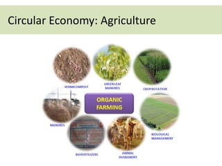 Circular Economy: Agriculture
 