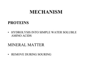 MECHANISM PROTEINS HYDROLYSIS INTO SIMPLE WATER SOLUBLE AMINO ACIDS MINERAL MATTER REMOVE DURING SOURING 