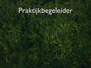 Praktijkbegeleider
 