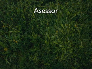 Asessor
 