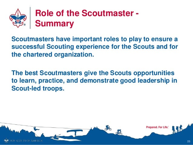 Summary Of I Scout