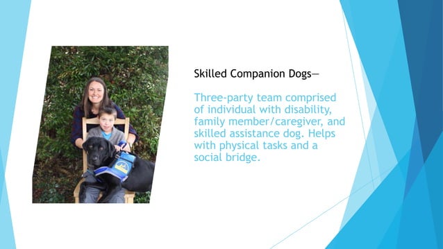 View of Canine Companions for Independence | PPTX