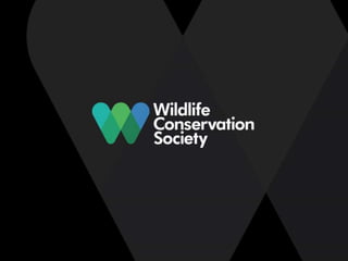 Presented by Geoffrey Mwedde (WCS)
at the Tackling Wildlife Crime Differently Workshop
Held 5th April 2017 at Protea Hotel...