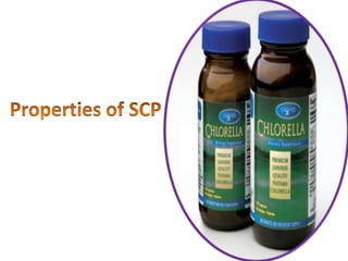 The Nutritional Values of Elken Spirulina Nutritional value is      14 times higher than cow’s milk.Excellent source of quick supply of glucose to the blood.
