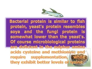 Contains all the 8 essential amino acids.