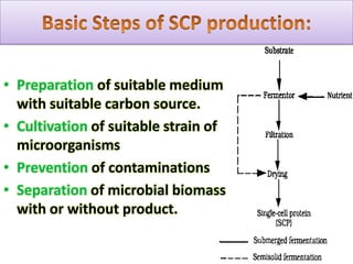 Essential amino acid content of the cell protein in comparison with several reference proteins (grams of amino acid per 100 grams of protein)   Table : 4