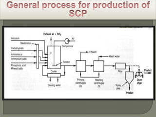    Other nutritional parameters which evaluate the quality of a given SCP are:- the digestibility (D)- the biological value (BV)- the protein efficiency ratio (PER)- the net protein utilisation (NPU)