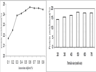 Problem of Nucleic AcidsAbout 70-80% of the total cell nitrogen is represented by amino acids while the       rest occurs in nucleic acids. This concentration of nucleic acids is higher than other conventional proteins and      is characteristic of all fast growing organisms. The problem which occurs from the consumption of proteins with high      concentration of nucleic acids (78 g/100 g protein dry weight) is the high level      of uric acid in the blood, sometimes resulting in the disease gout. Uric acid is a product of purine metabolism. 