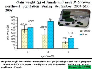 Economic parameters : The Scope of SCP productionproducts obtained via microbiological synthesis must be competitive with traditional food sources. When estimating costs involved in SCP production, such major factors as the biomass yield, cooling, and oxygen requirements should be taken into consideration.They depend not only on the choice of substrate, but on the choice of the microorganism as well. All this determines the cost of production and economic feasibility. It is obvious that one of the major factors limiting the use of hydrocarbon yeast is the residual hydrocarbon content.Demands of the country or  its separate regions for protein of a particular typeexpenditures for the delivery of finished products to the places of their consumptionDisposal of by products.
