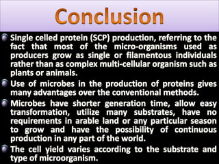 Table : 11The protein produced by Candida langeroniiin the bagassehemicellulosehydrolysate contains most of the amino acids essential for animal feed and its quality is comparable to soy bean protein . Its high lysine and threonine content suggest that this yeast protein should be utilized as a feed supplement, specially in diets based on cereals (Kihlberg 1972).Nigam (2000)
