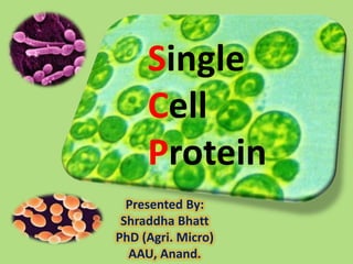 Single  Cell Protein Presented By: Shraddha Bhatt PhD (Agri. Micro) AAU, Anand. 