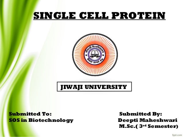 Single Cell Protein