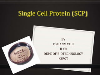 Single Cell Protein (SCP)
BY
C.SHANMATHI
II YR
DEPT. OF BIOTECHNOLOGY
KSRCT
 