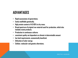 N E E T H U A S O K A N
 