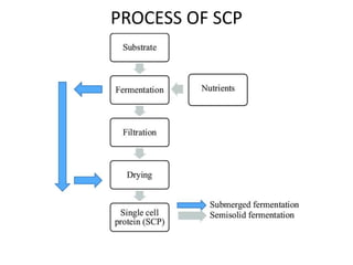 SCP | PPTX