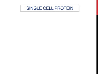 SINGLE CELL PROTEIN
 