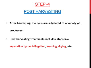 STEP -4
POST HARVESTING
• After harvesting, the cells are subjected to a variety of
processes.
• Post harvesting treatments includes steps like
separation by centrifugation, washing, drying, etc.
 