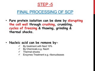 STEP -5
FINAL PROCESSING OF SCP
• Pure protein isolation can be done by disrupting
the cell wall through crushing, crumbling,
cycles of freezing & thawing, grinding &
thermal shocks.
• Nucleic acid can be remove by-
 By treatment with Nacl 10%
 By Chemicals e.g. NaoH
 Thermal shocks
 Enzymes Treatment e.g. ribonucleases
 