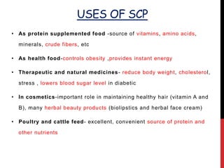 USES OF SCP
• As protein supplemented food -source of vitamins, amino acids,
minerals, crude fibers, etc
• As health food-controls obesity ,provides instant energy
• Therapeutic and natural medicines- reduce body weight, cholesterol,
stress , lowers blood sugar level in diabetic
• In cosmetics-important role in maintaining healthy hair (vitamin A and
B), many herbal beauty products (biolipstics and herbal face cream)
• Poultry and cattle feed- excellent, convenient source of protein and
other nutrients
 