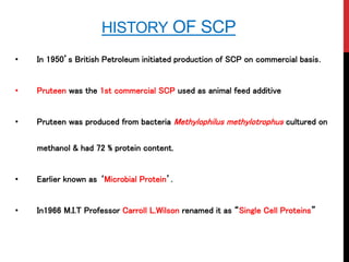 HISTORY OF SCP
• In 1950’s British Petroleum initiated production of SCP on commercial basis.
• Pruteen was the 1st commercial SCP used as animal feed additive
• Pruteen was produced from bacteria Methylophilus methylotrophus cultured on
methanol & had 72 % protein content.
• Earlier known as ‘Microbial Protein’.
• In1966 M.I.T Professor Carroll L.Wilson renamed it as “Single Cell Proteins”
 