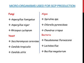 MICRO-ORGANISMS USED FOR SCP PRODUCTION
Fungi
 Aspergillus fumigatus
 Aspergillus niger
 Rhizopus cyclopium
Yeast
 Saccharomyces cerevisae
 Candida tropicalis
 Candida utilis
Algae
 Spirulina sps.
 Chlorella pyrenoidosa
 Chondrus crispus
Bacteria
 Pseudomonas fluroescens
 Lactobacillus
 Bacillus megaterium
 