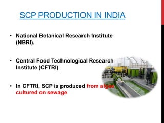 SCP PRODUCTION IN INDIA
• National Botanical Research Institute
(NBRI).
• Central Food Technological Research
Institute (CFTRI)
• In CFTRI, SCP is produced from algae
cultured on sewage
 