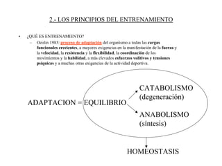 2.- LOS PRINCIPIOS DEL ENTRENAMIENTO
• ¿QUÉ ES ENTRENAMIENTO?
– Ozolin 1983: proceso de adaptación del organismo a todas las cargas
funcionales crecientes, a mayores exigencias en la manifestación de la fuerza y
la velocidad, la resistencia y la flexibilidad, la coordinación de los
movimientos y la habilidad, a más elevados esfuerzos volitivos y tensiones
psíquicas y a muchas otras exigencias de la actividad deportiva.
ADAPTACION = EQUILIBRIO
CATABOLISMO
(degeneración)
ANABOLISMO
(síntesis)
HOMEOSTASIS
 