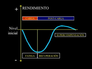 2.- LOS PRINCIPIOS DEL ENTRENAMIENTO
 
