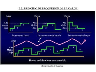 2.2.- PRINCIPIO DE PROGRESION DE LA CARGA
 