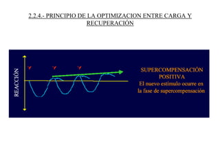 2.2.4.- PRINCIPIO DE LA OPTIMIZACION ENTRE CARGA Y
RECUPERACIÓN
 