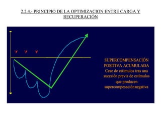 2.2.4.- PRINCIPIO DE LA OPTIMIZACION ENTRE CARGA Y
RECUPERACIÓN
 