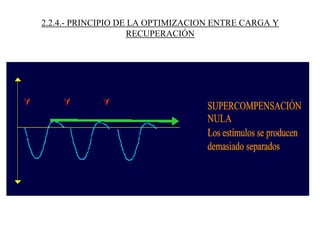 2.2.4.- PRINCIPIO DE LA OPTIMIZACION ENTRE CARGA Y
RECUPERACIÓN
 