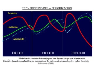 2.2.7.- PRINCIPIO DE LA PERIODIZACION
 