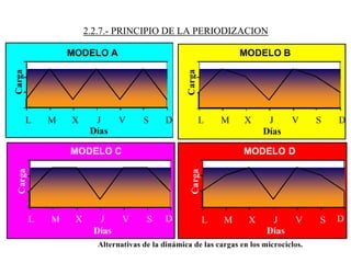 2.2.7.- PRINCIPIO DE LA PERIODIZACION
 