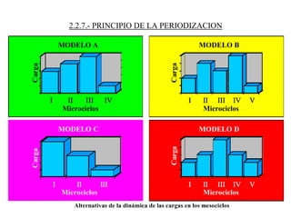 2.2.7.- PRINCIPIO DE LA PERIODIZACION
 