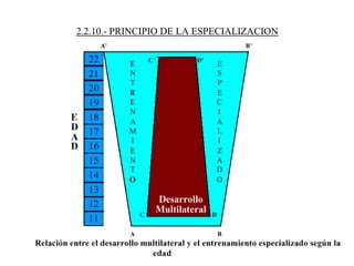 2.2.10.- PRINCIPIO DE LA ESPECIALIZACION
 