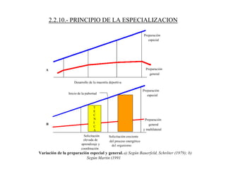 2.2.10.- PRINCIPIO DE LA ESPECIALIZACION
T
E
C
N
I
C
A
 