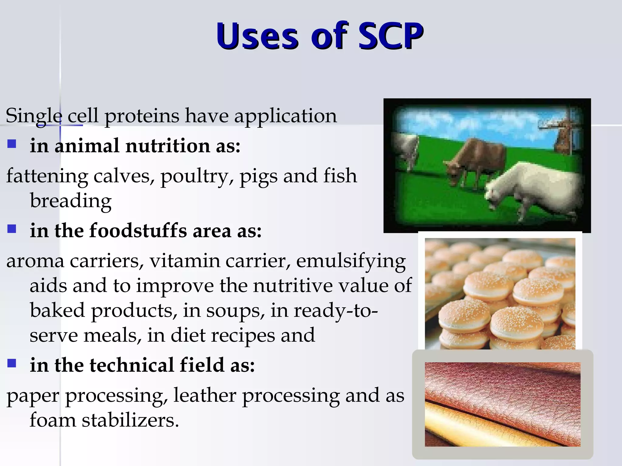 Uses of SCP

Single cell proteins have application
 in animal nutrition as:

fattening calves, poultry, pigs and fish
   breading
 in the foodstuffs area as:

aroma carriers, vitamin carrier, emulsifying
   aids and to improve the nutritive value of
   baked products, in soups, in ready-to-
   serve meals, in diet recipes and
 in the technical field as:

paper processing, leather processing and as
   foam stabilizers.
 