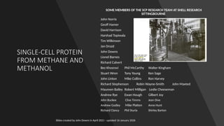 Single Cell Protein from Methane or Methanol - Process development ...