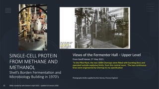 Single Cell Protein from Methane or Methanol - Process development ...