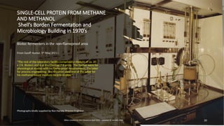 Single Cell Protein from Methane or Methanol - Process development ...