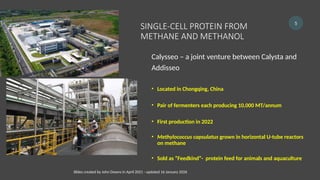 Single Cell Protein from Methane or Methanol - Process development ...