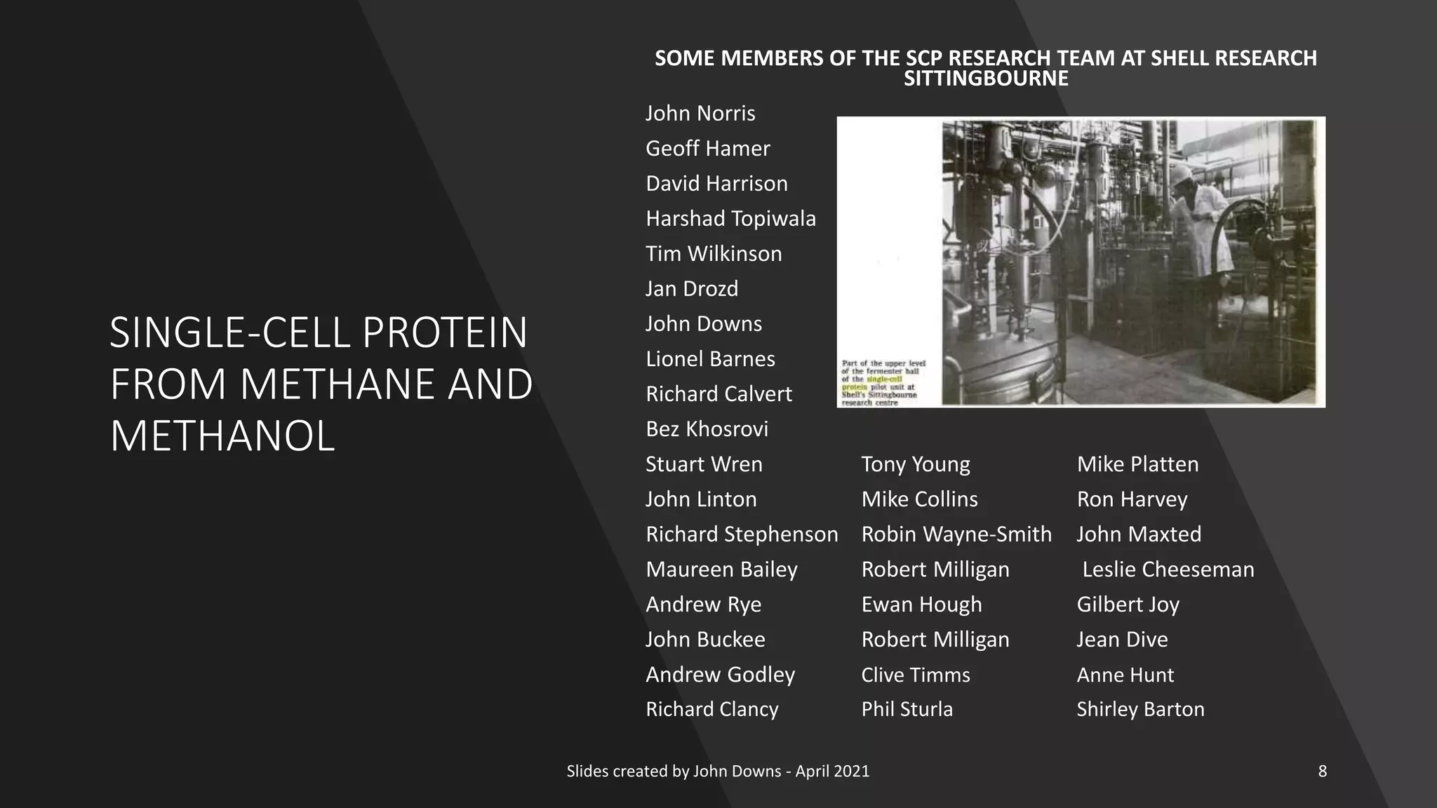 Single cell protein (SCP) from methane and methanol - publications from ...