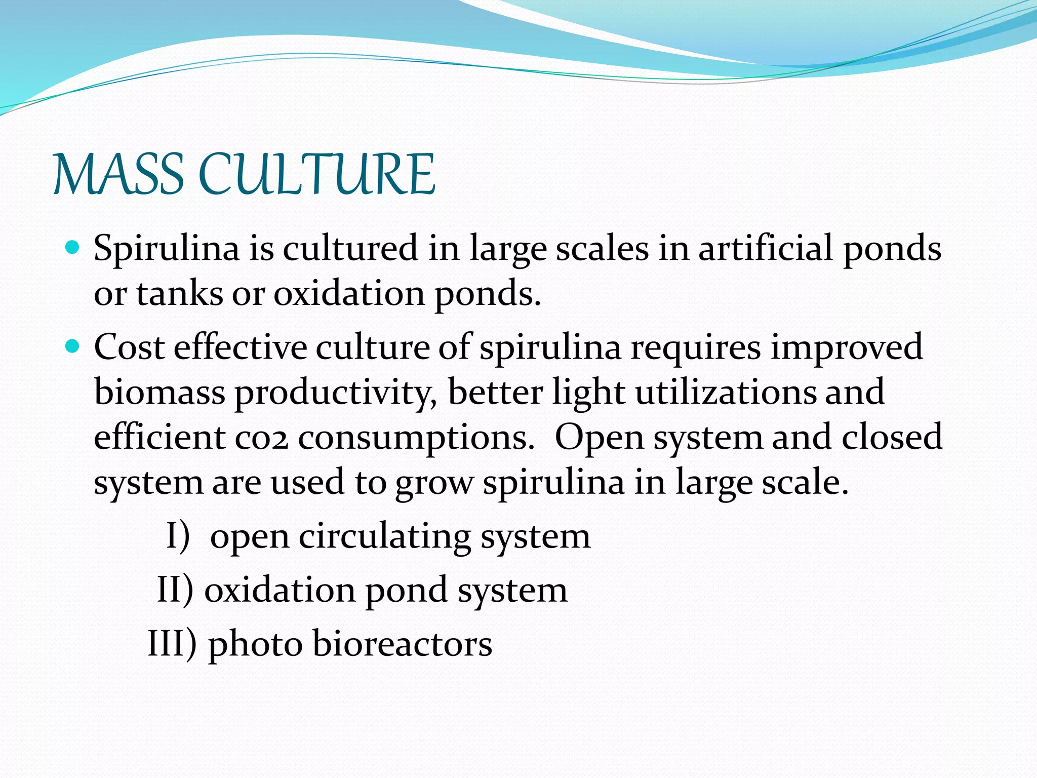 MASS CULTURE
 Spirulina is cultured in large scales in artificial ponds
or tanks or oxidation ponds.
 Cost effective culture of spirulina requires improved
biomass productivity, better light utilizations and
efficient co2 consumptions. Open system and closed
system are used to grow spirulina in large scale.
I) open circulating system
II) oxidation pond system
III) photo bioreactors
 