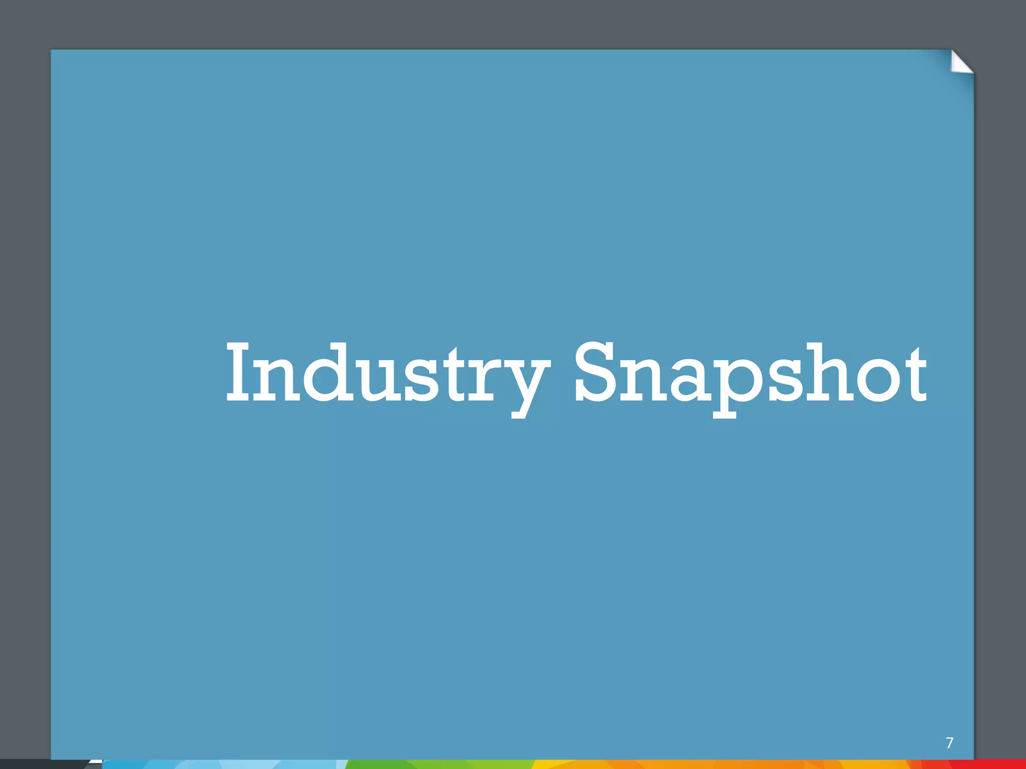 Industry Snapshot



                    7
 