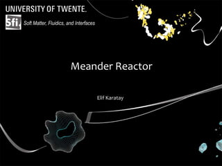 Soft Matter, Fluidics, and Interfaces




                        Meander Reactor

                                        Elif Karatay
 