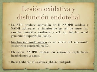 Lesión oxidativa y
disfunción endotelial
La ATII produce activación de la NADPH oxidasa y
NADH oxidasa en el interior de las cél. de musc. liso
vascular, miocitos cardíacos y cél. ep. tubular renal,
generando superóxido (daño).
Inactivación oxido nítrico es un efecto del superóxido
(disfunción contractil en IC).
Elevación NADPH oxidasa en corazones explantados
insuﬁcientes vs sanos.
Ratas Dahl con IC sistólica (IECA, imidapril)
 