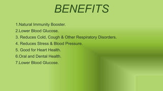 BENEFITS
1.Natural Immunity Booster.
2.Lower Blood Glucose.
3. Reduces Cold, Cough & Other Respiratory Disorders.
4. Reduces Stress & Blood Pressure.
5. Good for Heart Health.
6.Oral and Dental Health.
7.Lower Blood Glucose.
 